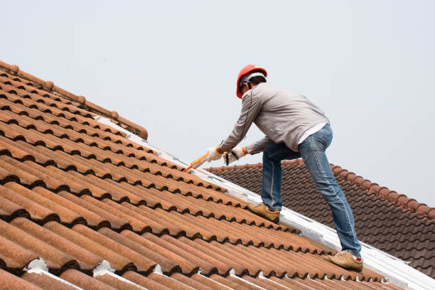 Best Sheet Metal Roofing  in Larkfield Wikiup, CA